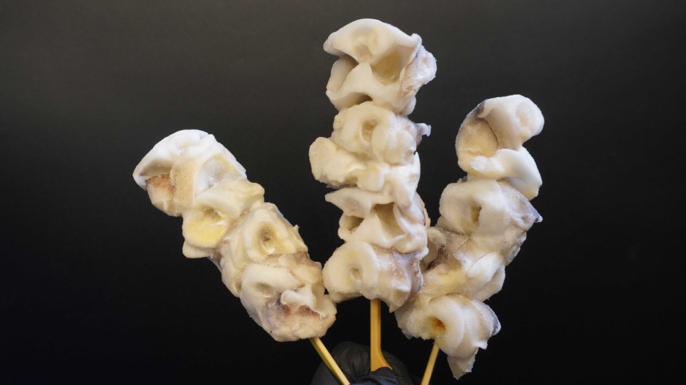 国産スルメイカ　軟骨　串　なんこつ　特大　コリコリ食感