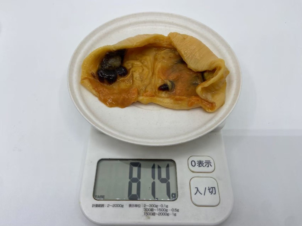 岩手県産　冷凍剥きほや　生食用　30パック入り