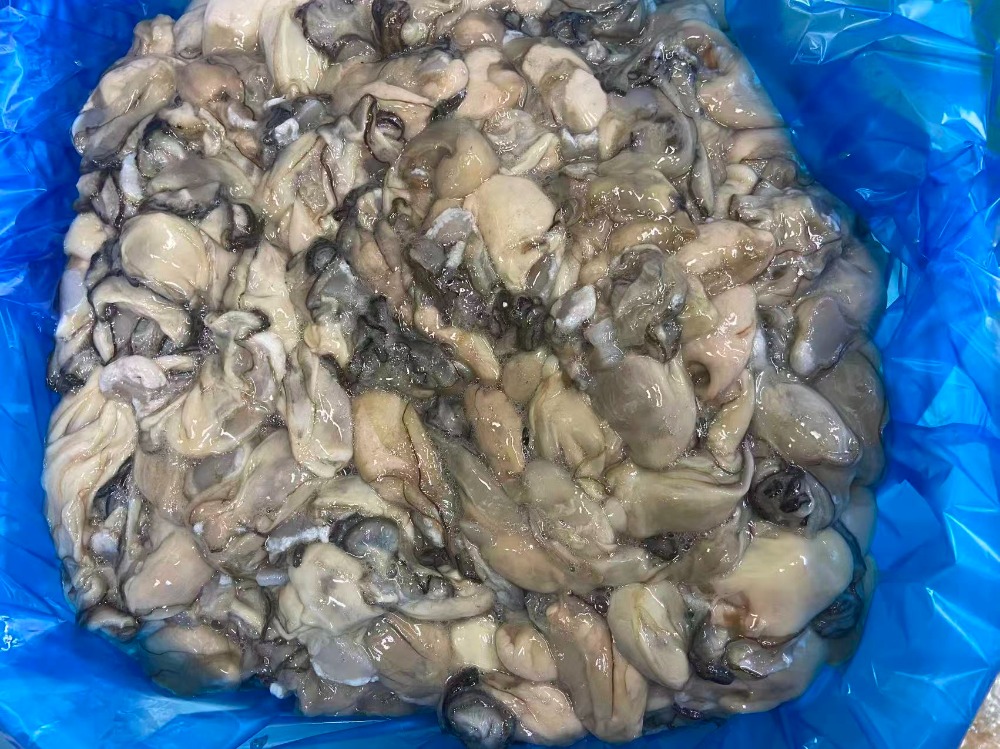 国産　牡蠣むき身　無選別　原料　加工用