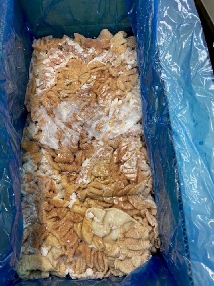 国産豚大腸（伸ばし）10kg　冷凍