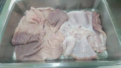 【国産】豚胃袋（ガツ）　カット　5kg