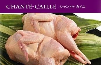 生フランスうずら中抜き【シャントゥ・カイユ】商品コード0583