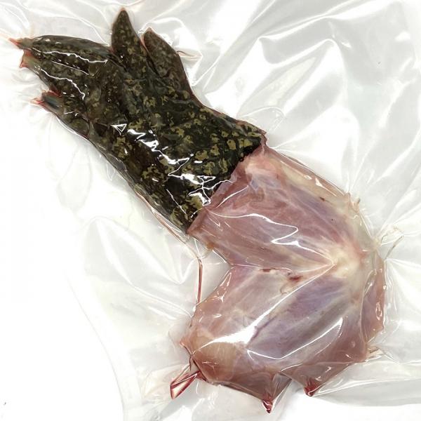 ◆４kg特価！ワニ手足／タイ産クロコダイルシャンク0586