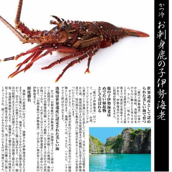 ☆お刺身伊勢海老3分割150-200g原料ミナミイセエビ生／30尾1389