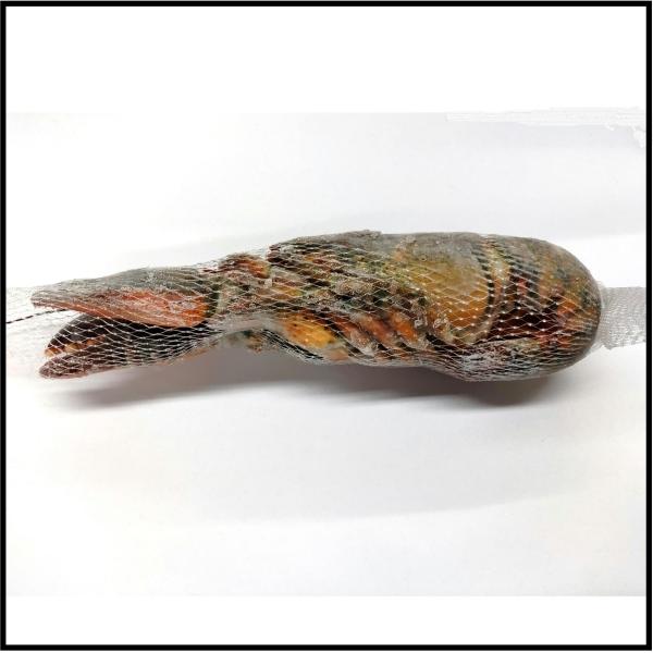 ☆ウルトラハイプレッシャー生冷オマールホール2L400/450gNS2051