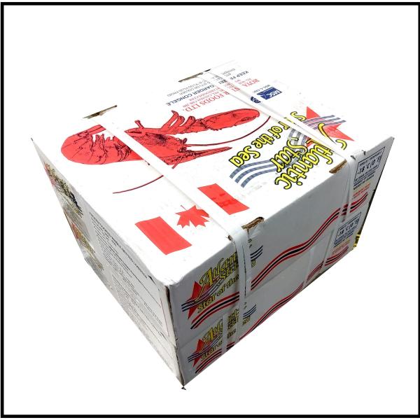 ☆カナダ産ボイルオマールホールネット入350/400gLサイズNS1522