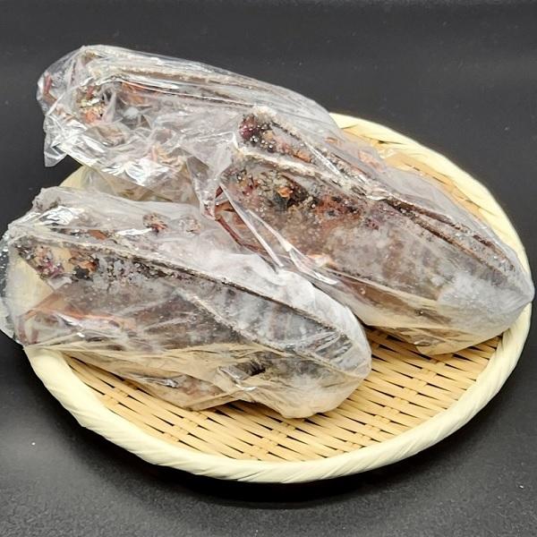 ☆千葉県産活〆生冷天然伊勢海老ホール125-150g／約36尾1451