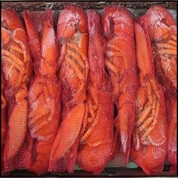 ☆カナダ産ボイルオマールホールネット入350/400gLサイズNS1522