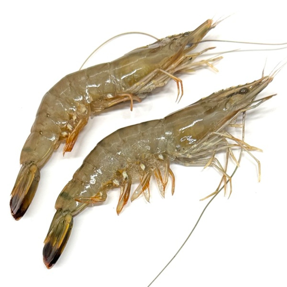 ☆生食用！海老の極み31尾／お刺身用マダガスカル産KY2747