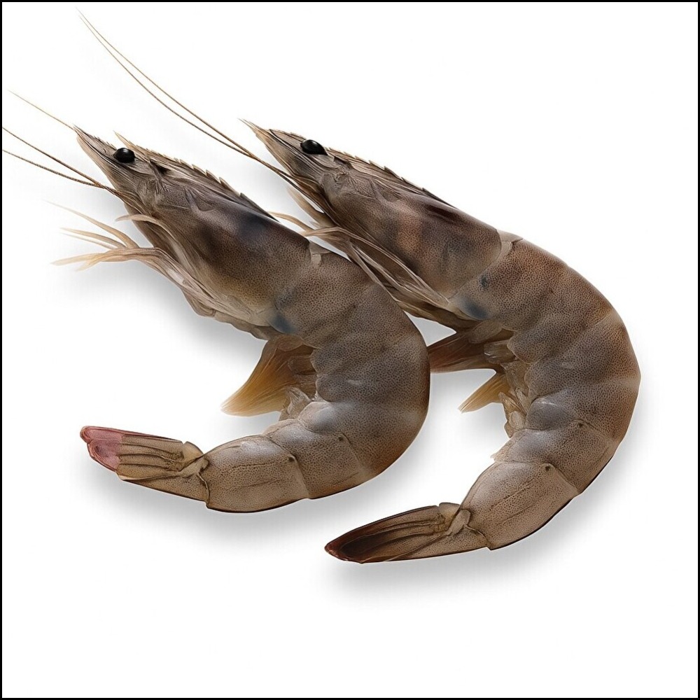 ☆エクアドル産　有頭バナメイ海老30/40尾x2kg　2779