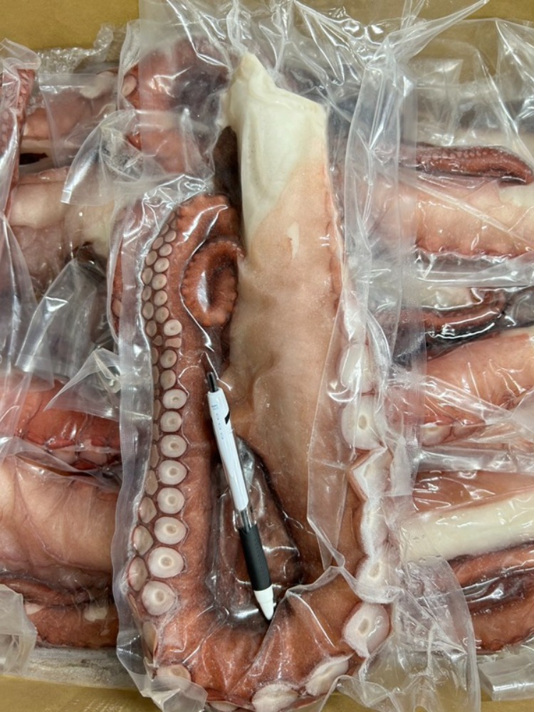 北海道産ブランチ水ダコ足（生食用）5kgx2箱／4-6サイズRG0388