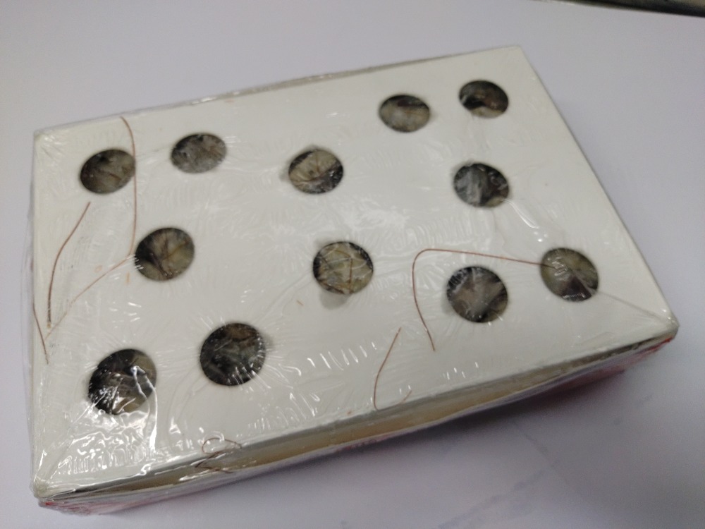 ☆エクアドル産　有頭バナメイ海老20/30尾x2kg　2778