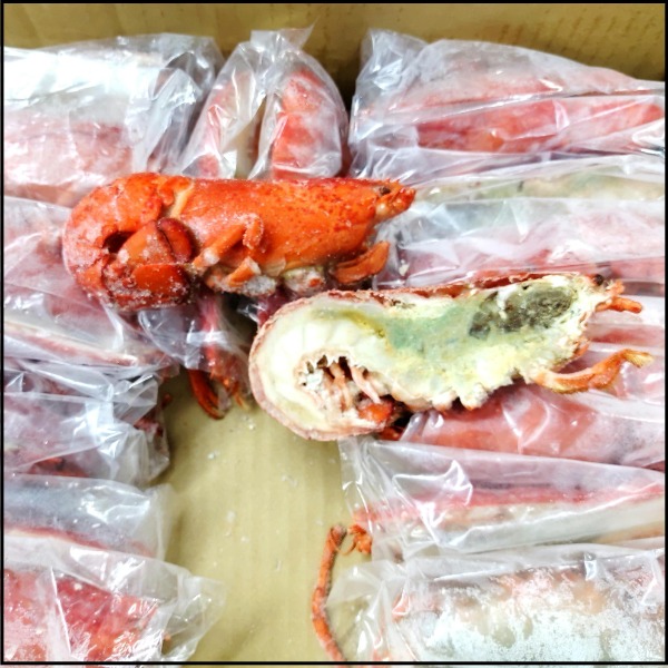 ☆ボイルオマール爪なハーフカット/原料サイズ約350gNS1502