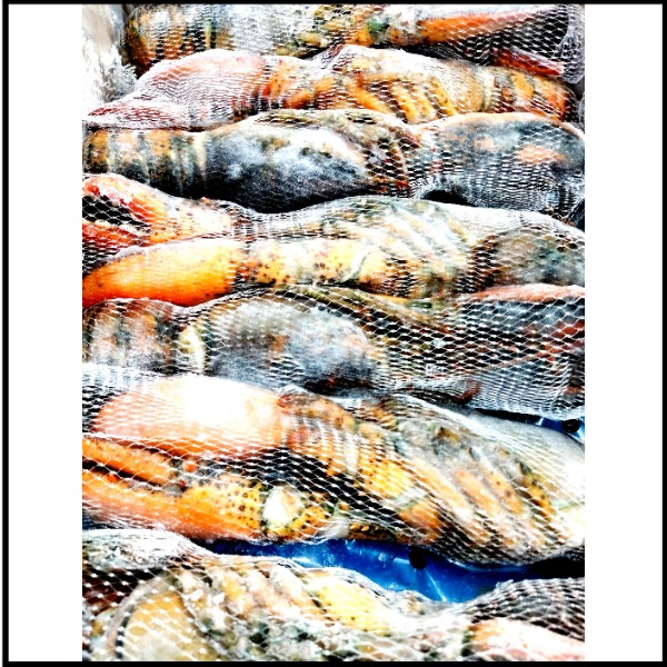 ☆ウルトラハイプレッシャー生冷オマールホールL350/400gNS2052