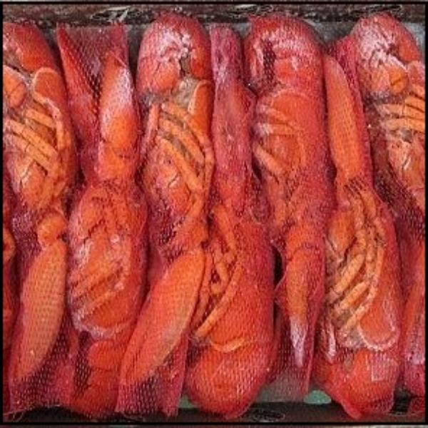 ☆カナダ産ボイルオマールホールネット入350/400gLサイズNS1522