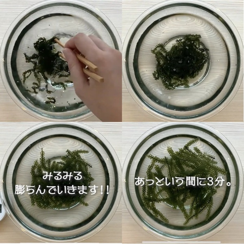 1pc！5倍に膨らむ海ぶどう無添加20gx10袋/オーガニックBL0914