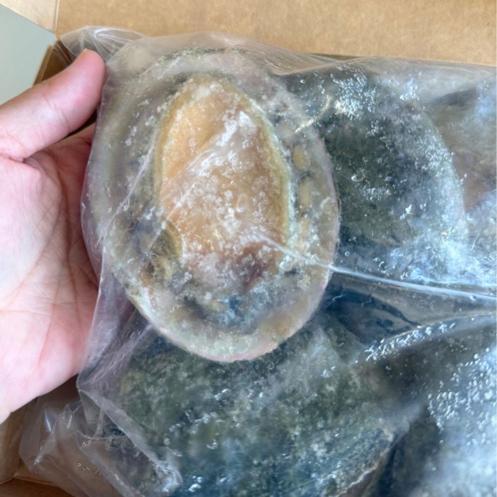 【生食可】冷凍鮑　110/130g　グリーンリップ