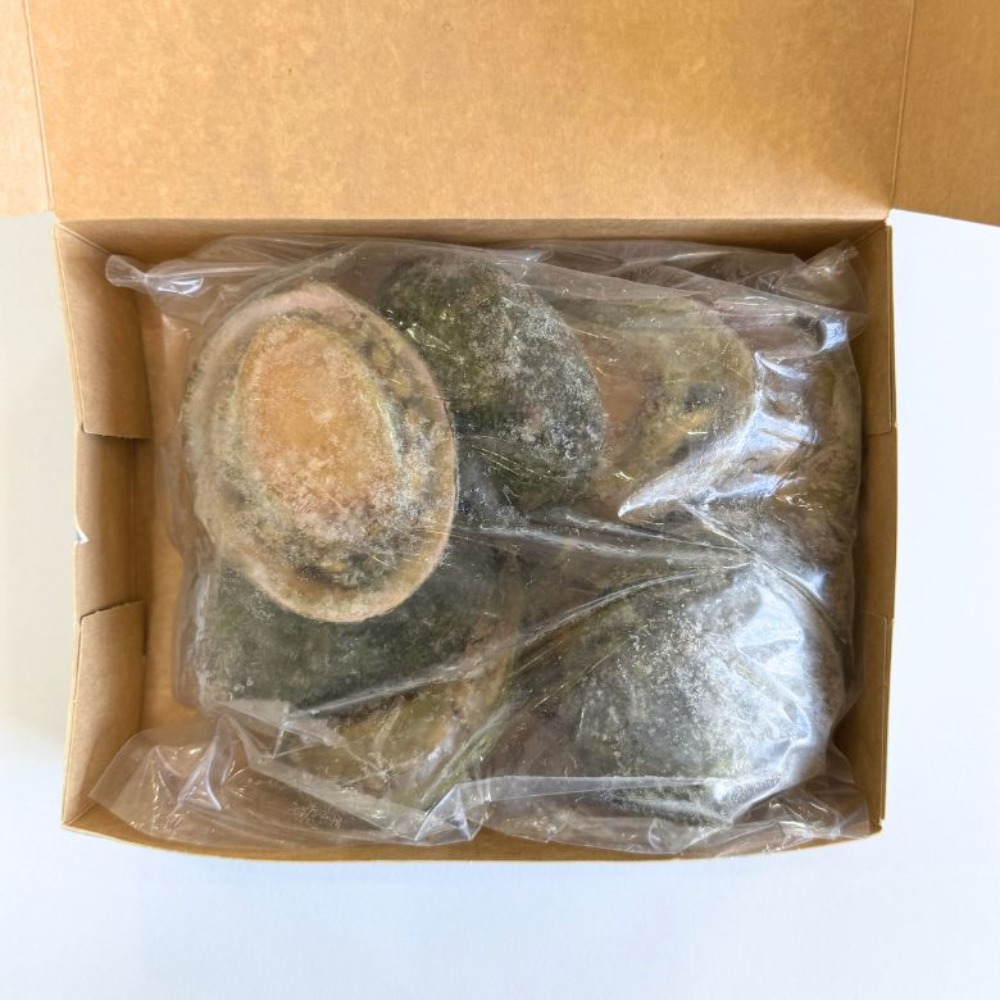 【生食可】生冷凍鮑　70/90g　グリーンリップ