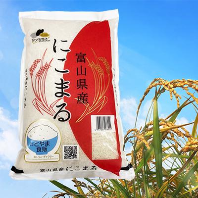 令和3年産 精米 富山県産 にこまる 1等級 10kgx3｜仕入れなら業務用食材卸売市場Mマート