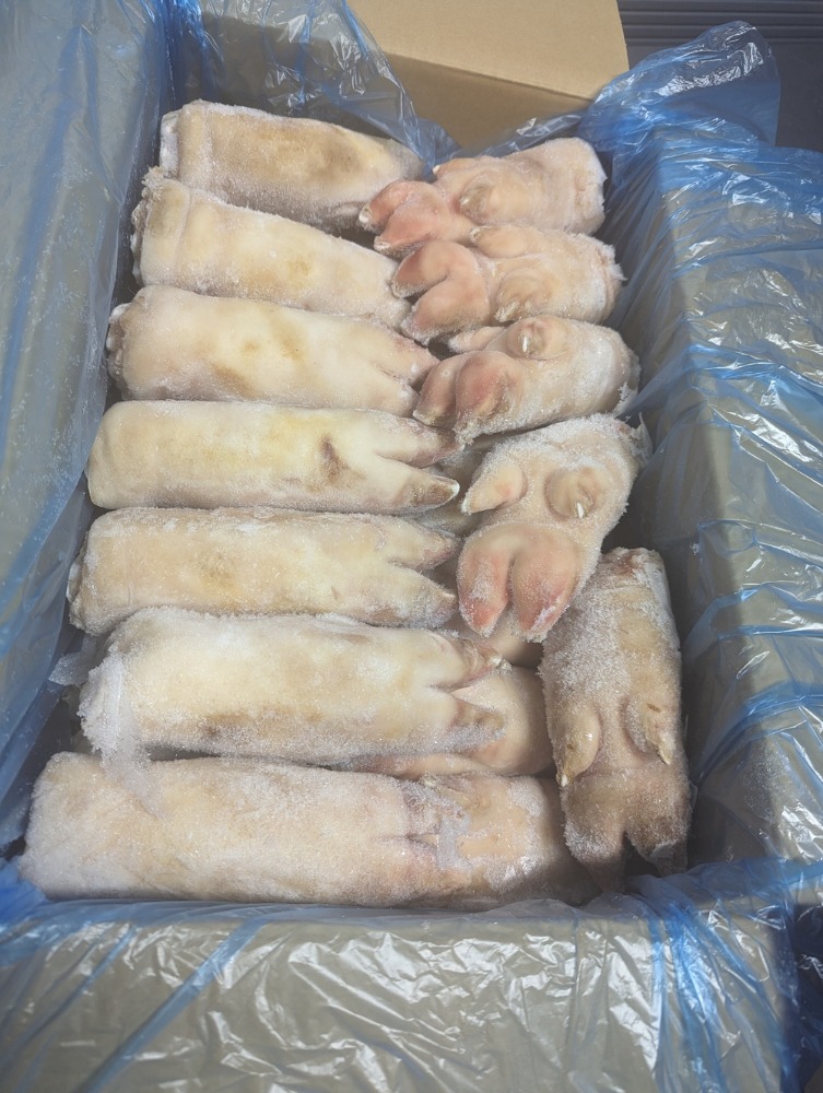 ���Y�؁@�ؑ��@�Ⓚ�@10kg〜