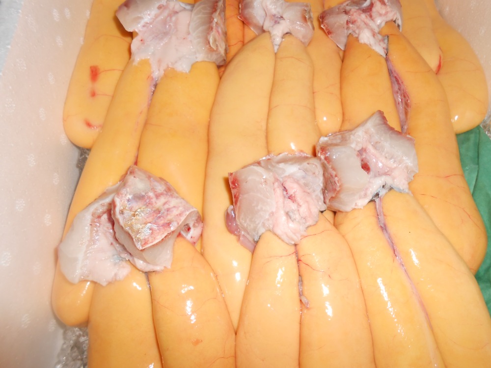 今年最安値 そろそろ終わるか？ 国産ボラ子大約300g