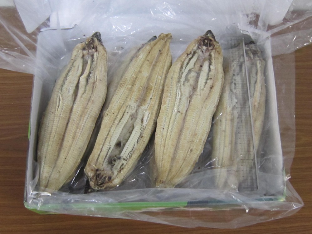 【新商品】【新商品】ロストラータ種　ウナギ白焼　10K/30尾