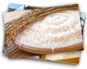 �X�܎ʐ^�E���S