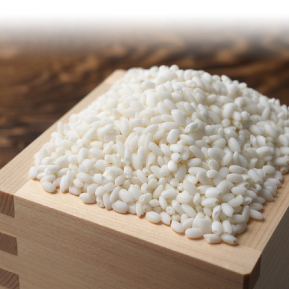 【令和7年産】千葉産ヒメノモチ　精米　10kg(5kgx2)