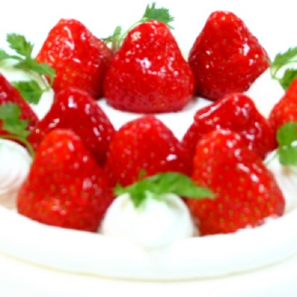 デコレションケーキ半製品（プレーン）3号・9cm