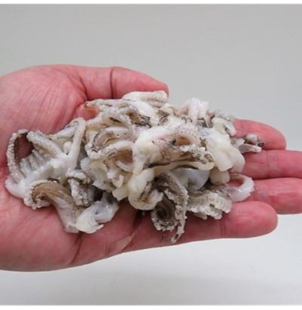 �y�����ʁz���H�p�@�����C�J�@�����@�[�ށ@1kg�@�Q�\�@�؂藎�Ƃ�