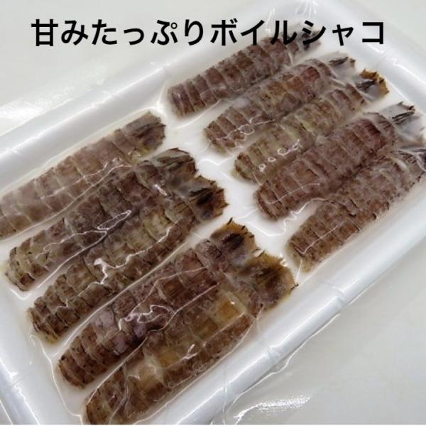 寿司ネタ　生食用　ボイルシャコ16尾　約8ｇ　蝦蛄　しゃこ