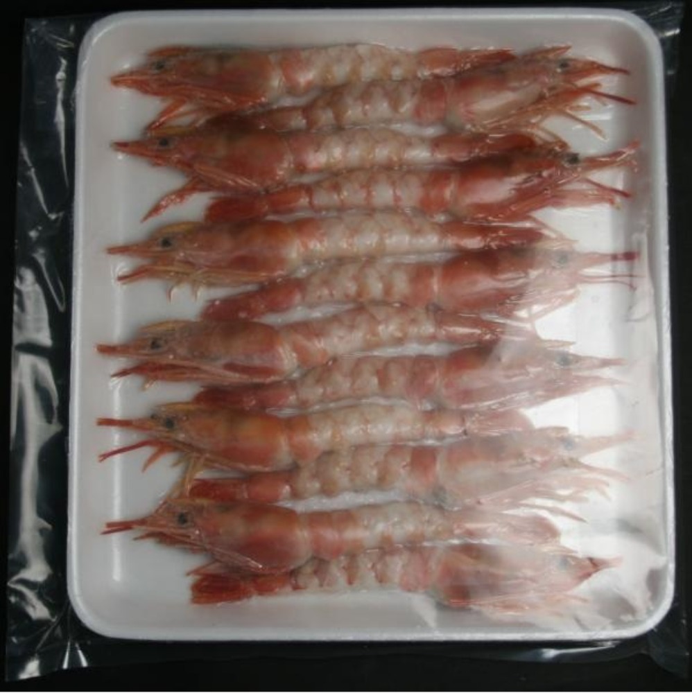 【寿司ネタ】アルゼンチン赤海老有頭中ムキ開き14尾