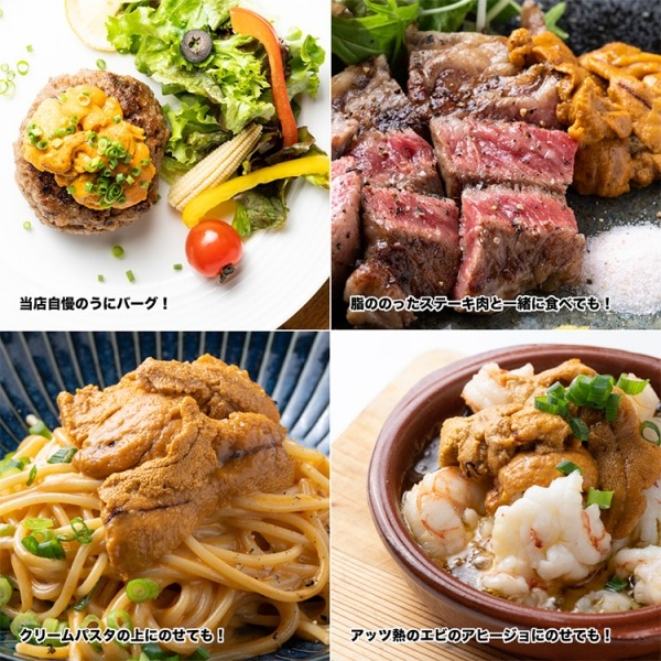 Bグレード　ミョウバン無　無添加【50パック】冷凍　ウニ　100g