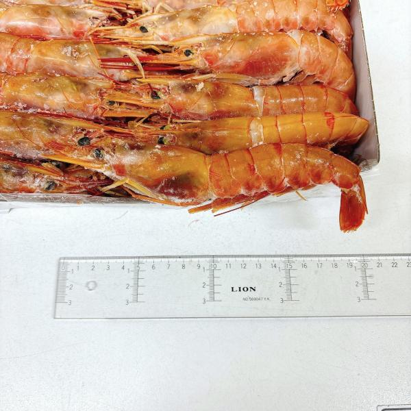 刺身用　赤エビL1(30尾前後)　2kg