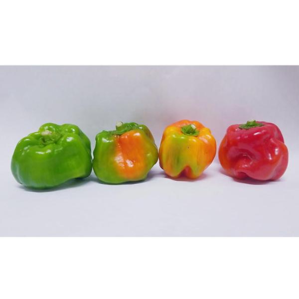 かぐら南蛮みそ（青）/新潟魚沼産/調味料/味噌500g