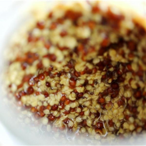 和からし/マスタードシード/新潟/魚沼/200g/鈴木農場