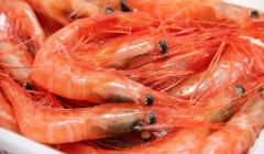 �X�܎ʐ^�E���S