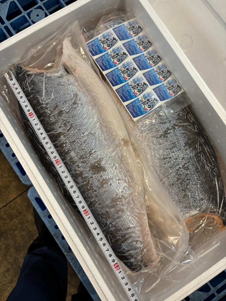 定塩銀鮭フィーレ（国内加工）