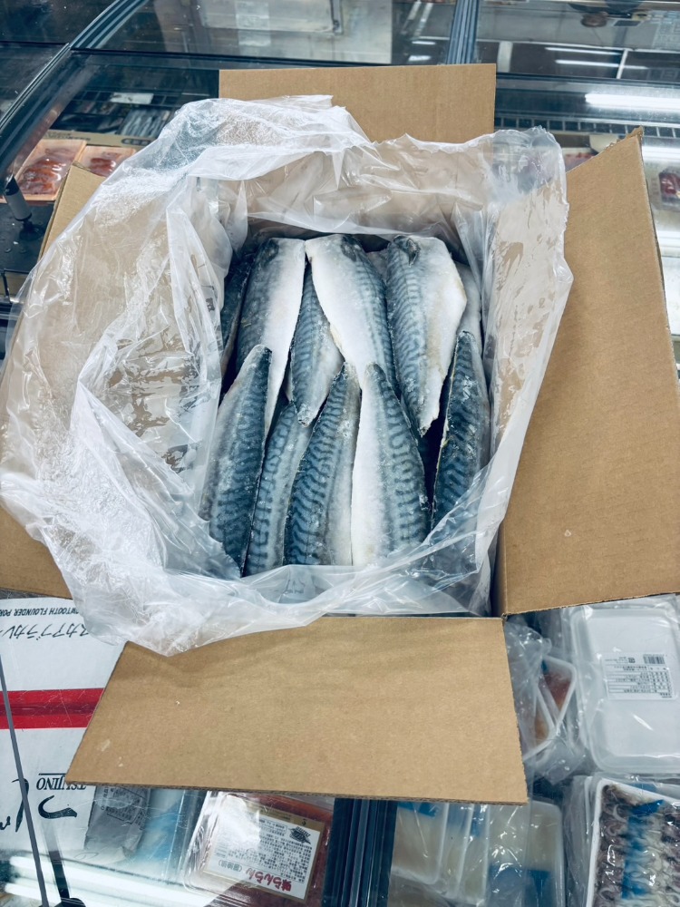 ノルウェー産　脂がのった冷凍無塩サバフィーレ　　5ｋ35枚