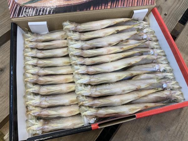 丸弘水産 北海道産 本ししゃも メス 2Lx30尾