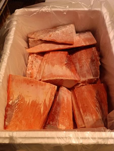 中型本鮪赤身(ホンマグロ)天身冊14kg