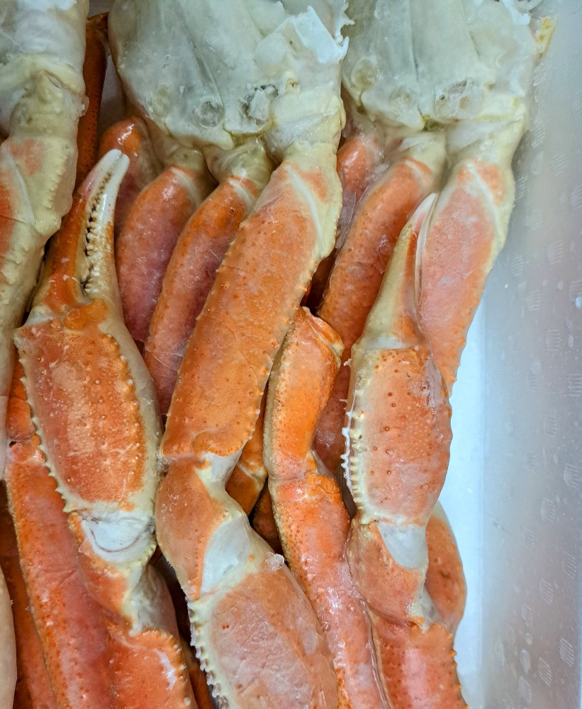 �y�����ʁz�Ⓚ�@�{�Y���C�K�j(�{�C��)4L�@5����2kg