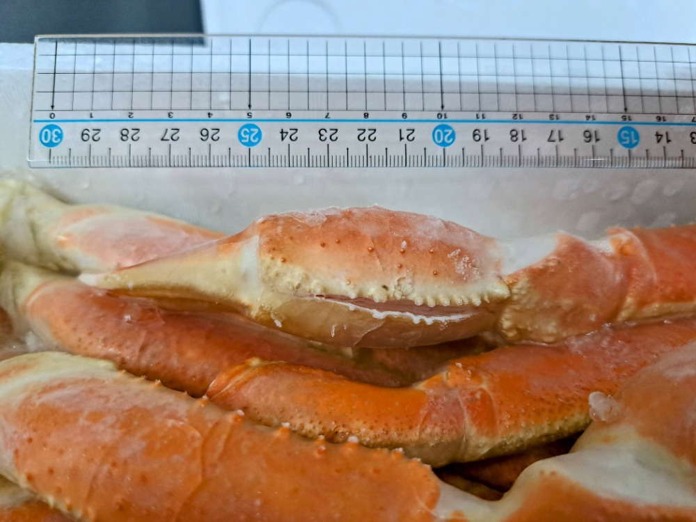 �y�����ʁz�Ⓚ�{�Y���C�K�j(�{�C��)5L�@�o���N5kg��13��