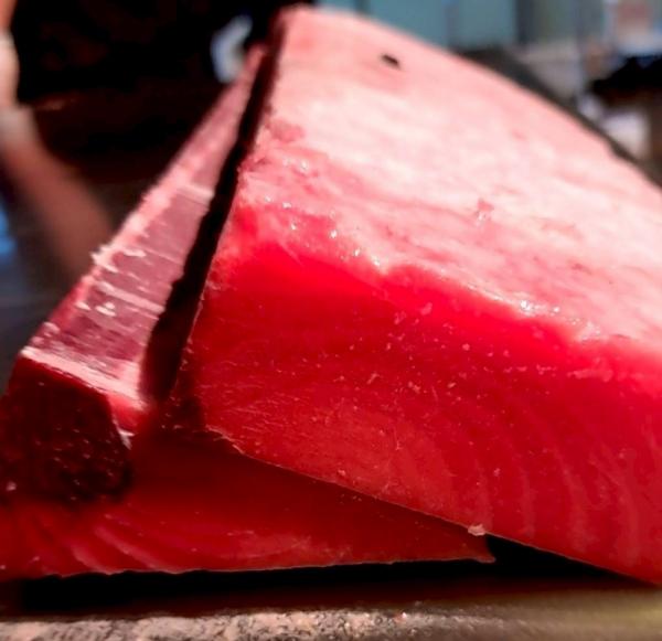 �y�����ʁz�Ⓚ�{�B�{�}�O���Ԑg�[�ށi�V�g�j