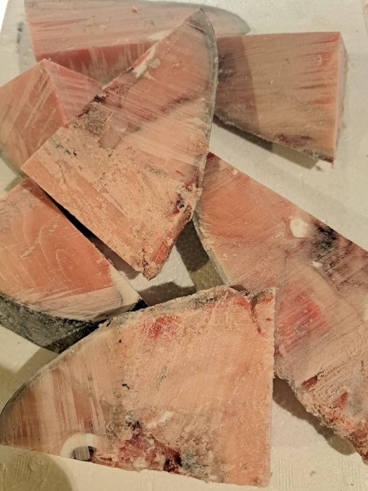 �y�����ʁz�{�B��}�O���@���X���C�X