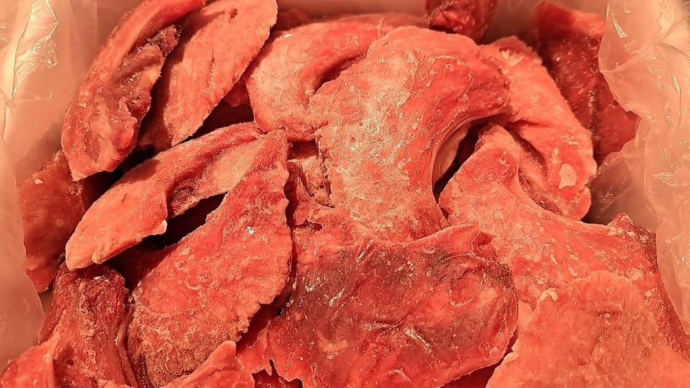 �y�����ʁz�L�n�_�}�O���@�قٓ�