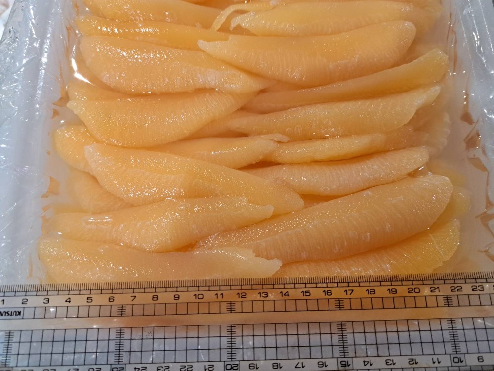 北海道産一本羽塩数の子　16〜20g／本