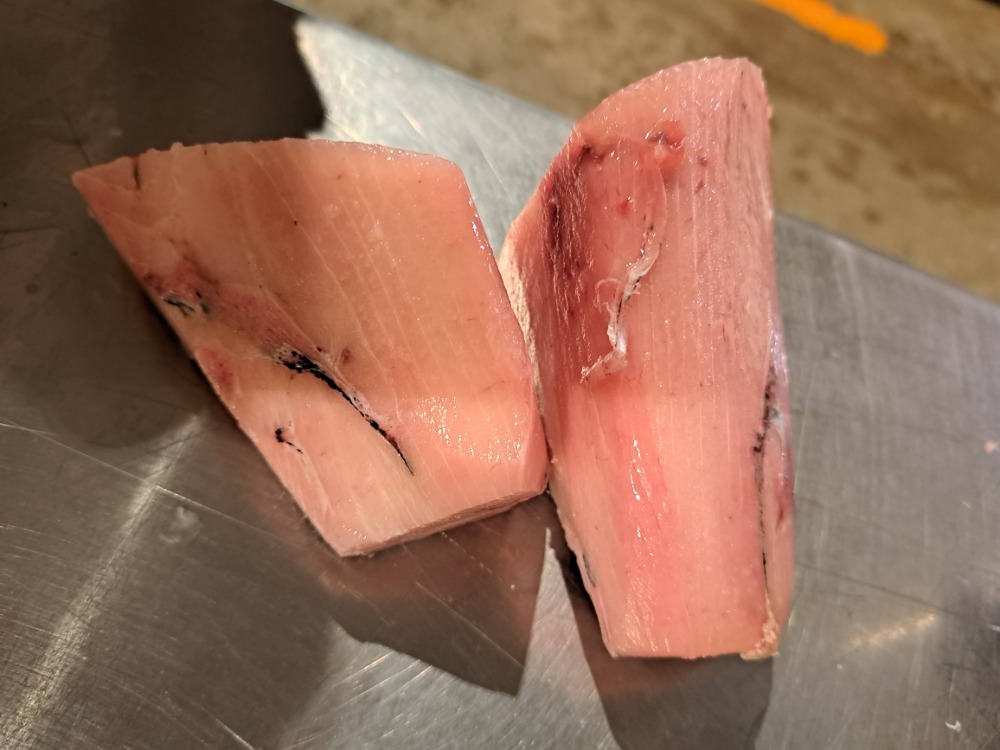 ビンチョウ背カミ生食用