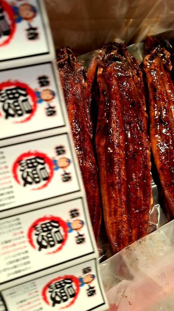 中国産うなぎ蒲焼1尾