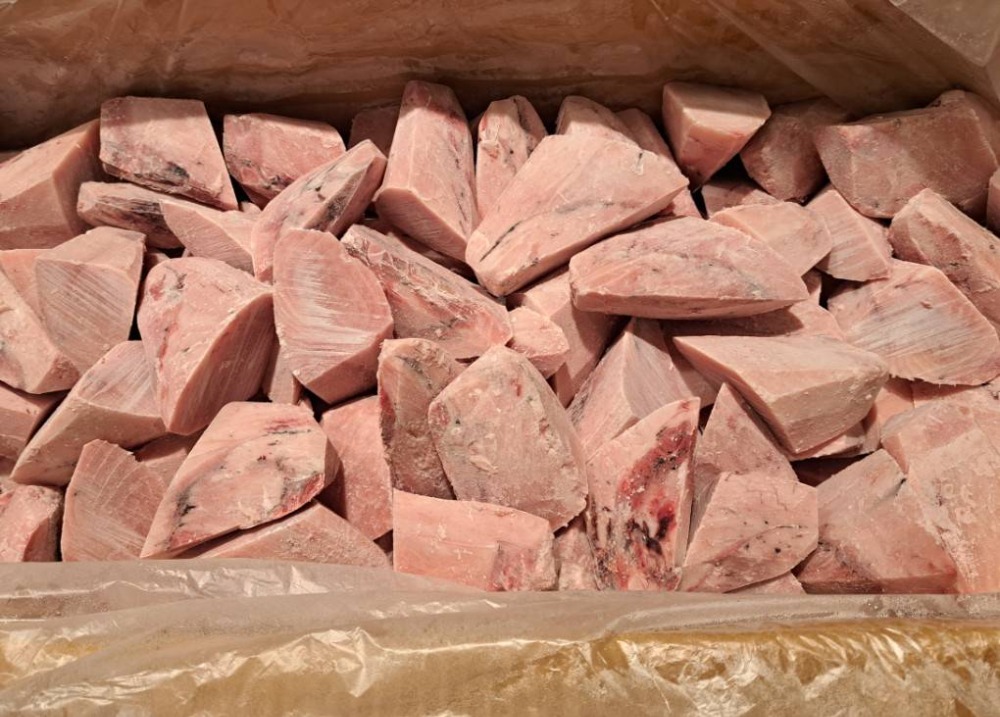 ビンチョウ背カミ生食用